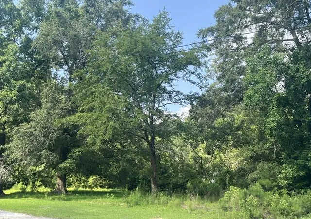 1st image of 0 Parsons Rd, Summerville, SC 29483 | MLS# 26018742
