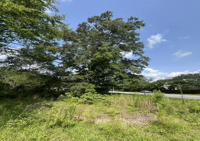 3rd image of 0 Parsons Rd, Summerville, SC 29483 | MLS# 26018742