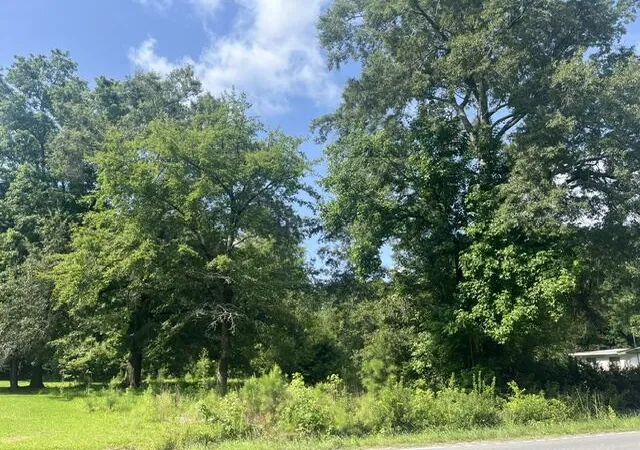 5th image of 0 Parsons Rd, Summerville, SC 29483 | MLS# 26018742