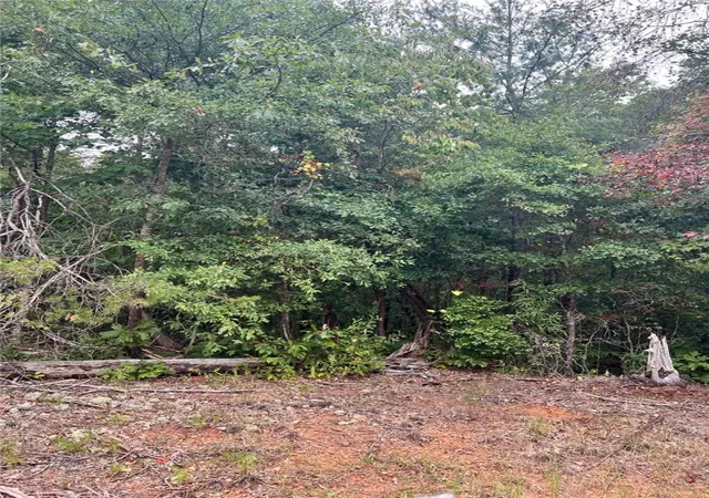 Photo 2 of Land for sale at Lot 113 Hidden Lake Dr, Anderson, SC 29625 | MLS# 20279163 | Listing updated on 2025-09-24