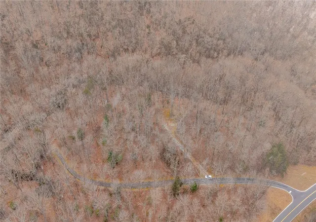 4th image of 8 Granite Falls Dr, Landrum, SC 29356 | MLS# 20283085