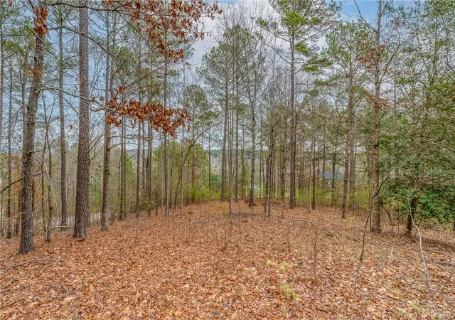 Photo 3 of Residential Lot at 335 Long Cvs Trl, Salem, SC 29676 | MLS# 20283338 | | Sold on 2025-12-30