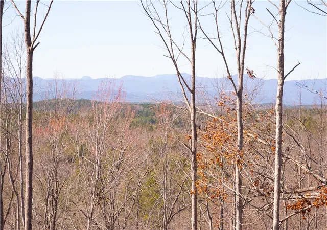 Homes for sale in Six Mile, SC | 382 Crowe Creek Rd, Six Mile, SC 29682 | MLS# 20285727