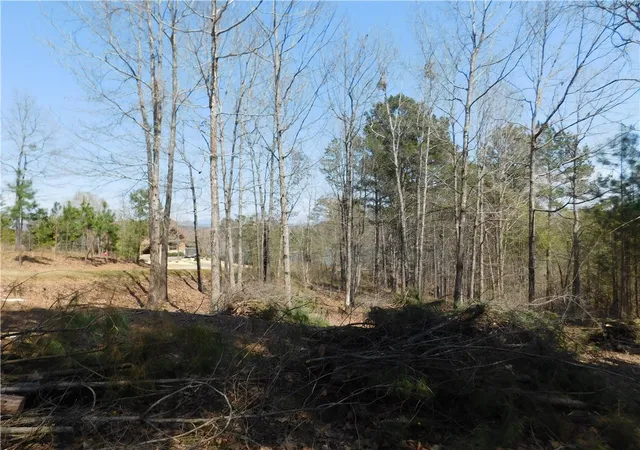 Photo 3 of Land for sale at 306 Eagle's Bend Trl, Salem, SC 29676 | MLS# 20249174 | Listing updated on 2026-07-20