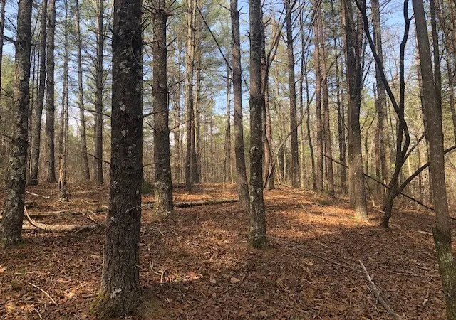 Photo 1 of Land for sale at 101 Dutchman's Pipe Trl, Sunset, SC 29685 | MLS# 20249277 | Listing updated on 2026-09-22