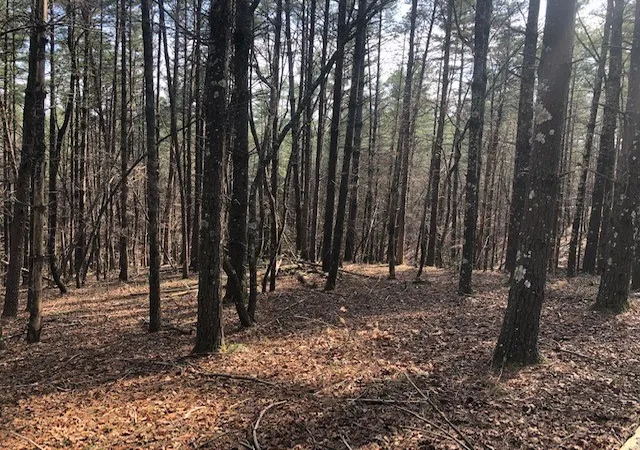 Photo 3 of Land for sale at 101 Dutchman's Pipe Trl, Sunset, SC 29685 | MLS# 20249277 | Listing updated on 2026-09-22
