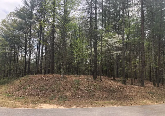 Photo 3 of Land for sale at 101 Dutchman'S Pipe Trl, Sunset, SC 29685 | MLS# 20249277 | Listing updated on 2026-09-22