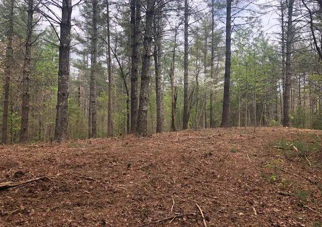 Photo 4 of Land for sale at 101 Dutchman'S Pipe Trl, Sunset, SC 29685 | MLS# 20249277 | Listing updated on 2026-09-22