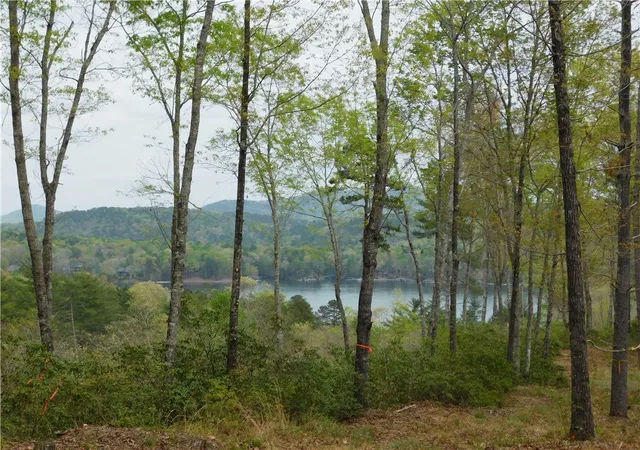 Photo 1 of Land for sale at Lot 1 Old Chapman Bridge Rd, Salem, SC 29676 | MLS# 20250106 | Listing updated on 2026-07-20