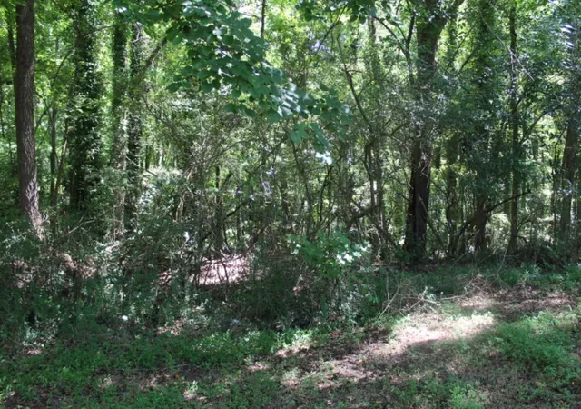 Photo 2 of Sale Pending at Lot C Sam Dr, Belton, SC 29627 | MLS# 20254950 | Listing updated on 2026-04-01