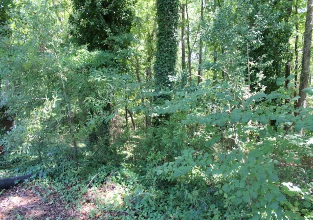 Photo 3 of Sale Pending at Lot C Sam Dr, Belton, SC 29627 | MLS# 20254950 | Listing updated on 2026-04-01