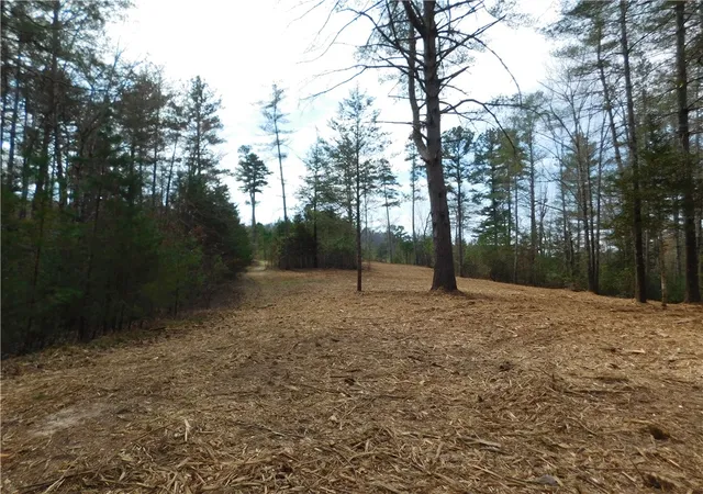 Photo 1 of Land for sale at 110 Horseback Trl, Sunset, SC 29685 | MLS# 20260171 | Listing updated on 2026-07-20