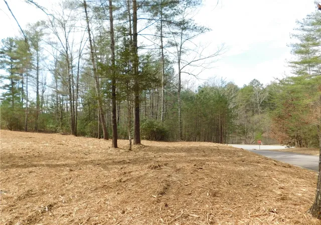 Photo 2 of Land for sale at 110 Horseback Trl, Sunset, SC 29685 | MLS# 20260171 | Listing updated on 2026-07-20