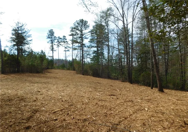 Photo 3 of Land for sale at 110 Horseback Trl, Sunset, SC 29685 | MLS# 20260171 | Listing updated on 2026-07-20