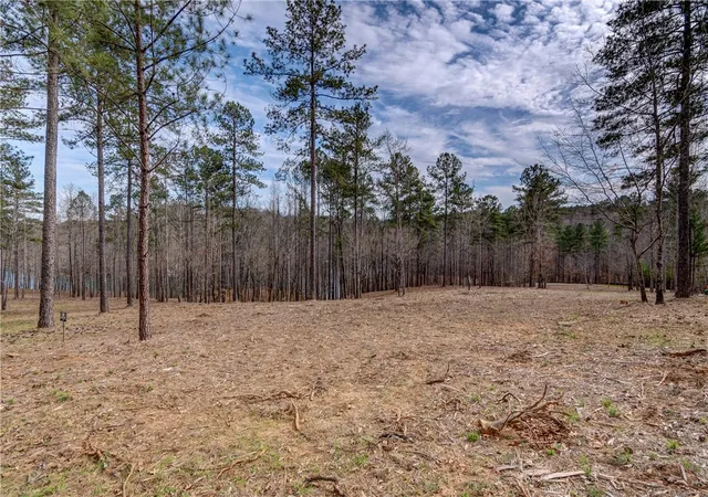 Photo 3 of Land for sale at Lot 14 Grays Peak Dr, Salem, SC 29676 | MLS# 20264761 | Listing updated on 2026-07-20