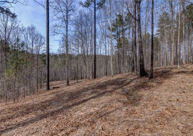 Photo 3 of Land for sale at Lot 2 Grays Peak Dr, Salem, SC 29676 | MLS# 20264840 | Listing updated on 2026-07-20