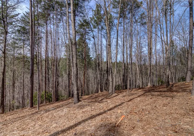 Photo 3 of Land for sale at Lot 3 Grays Peak Dr, Salem, SC 29676 | MLS# 20264841 | Listing updated on 2026-07-20