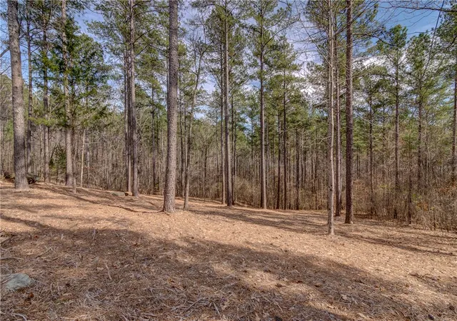 Photo 1 of Land for sale at Lot 20 Grays Peak Dr, Salem, SC 29676 | MLS# 20264847 | Listing updated on 2026-07-20