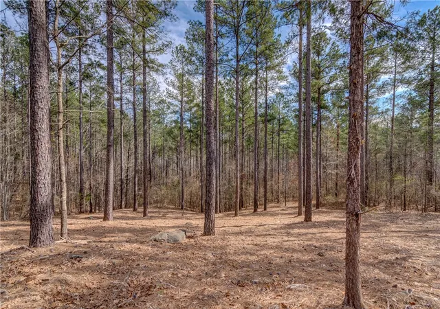 Photo 2 of Land for sale at Lot 20 Grays Peak Dr, Salem, SC 29676 | MLS# 20264847 | Listing updated on 2026-07-20