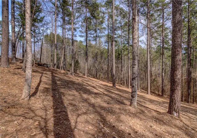 Photo 3 of Land for sale at Lot 20 Grays Peak Dr, Salem, SC 29676 | MLS# 20264847 | Listing updated on 2026-07-20