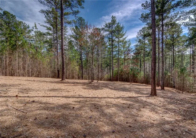Photo 2 of Land for sale at Lot 21 Grays Peak Dr, Salem, SC 29676 | MLS# 20264848 | Listing updated on 2026-07-20