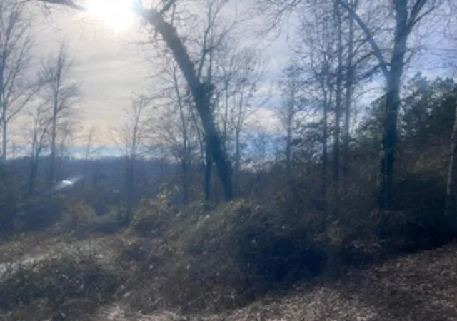 Photo 2 of Land for sale at 000a Riverbend Rd, Fair Play, SC 29643 | MLS# 20273440 | Listing updated on 2026-09-10