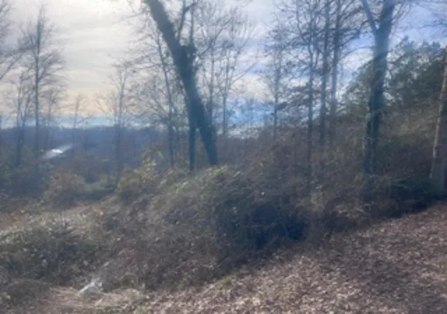 Photo 3 of Land for sale at 000a Riverbend Rd, Fair Play, SC 29643 | MLS# 20273440 | Listing updated on 2026-09-10
