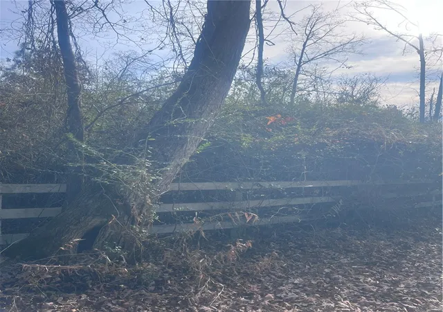 Photo 3 of Land for sale at 000b Riverbend Rd #Lot 66, Fair Play, SC 29643 | MLS# 20273471 | Listing updated on 2026-09-10