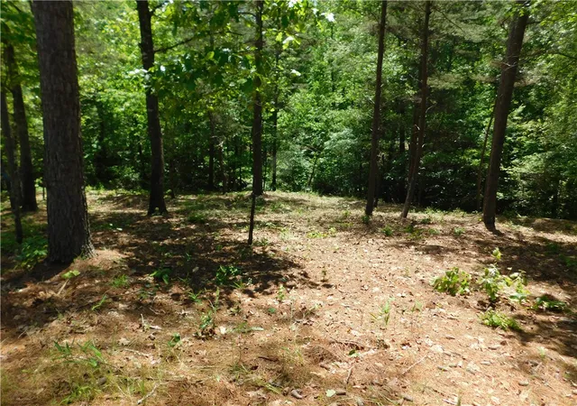 Photo 1 of Land for sale at Lot 12 Canebrake Dr, Salem, SC 29676 | MLS# 20274678 | Listing updated on 2026-07-20