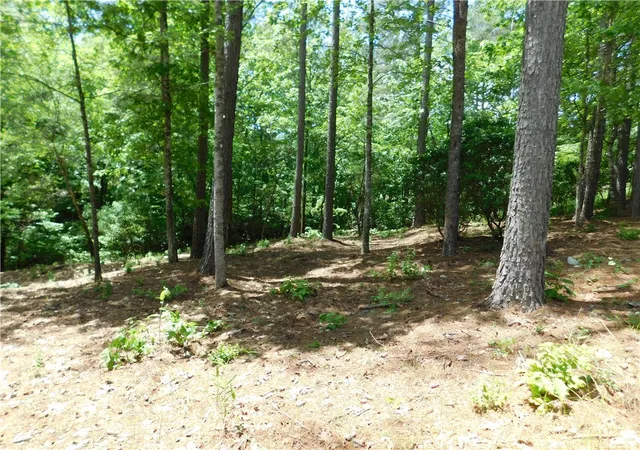 Photo 2 of Land for sale at Lot 12 Canebrake Dr, Salem, SC 29676 | MLS# 20274678 | Listing updated on 2026-07-20