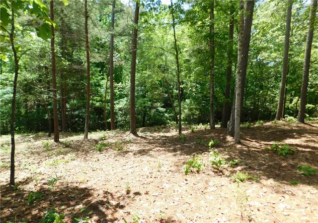 Photo 3 of Land for sale at Lot 12 Canebrake Dr, Salem, SC 29676 | MLS# 20274678 | Listing updated on 2026-07-20