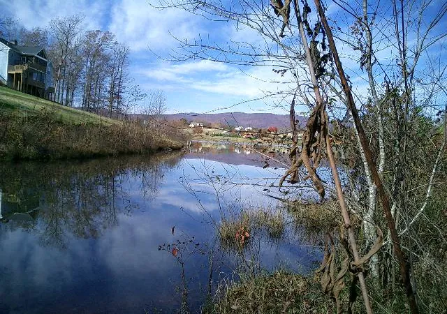 Land for sale at 00 The Bear Blvd, Tamassee, SC 29686 | MLS# 20279045