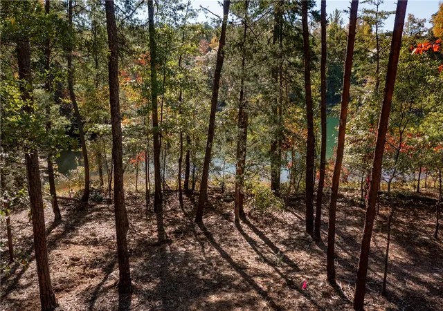 Photo 4 of Land for sale at M12 Village View Dr, Sunset, SC 29685 | MLS# 20280907 | Listing updated on 2026-07-28