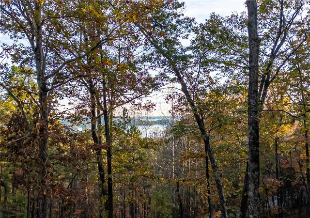 Photo 3 of Land for sale at 147 Falls Rd, Sunset, SC 29685 | MLS# 20281458 | Listing updated on 2026-10-26
