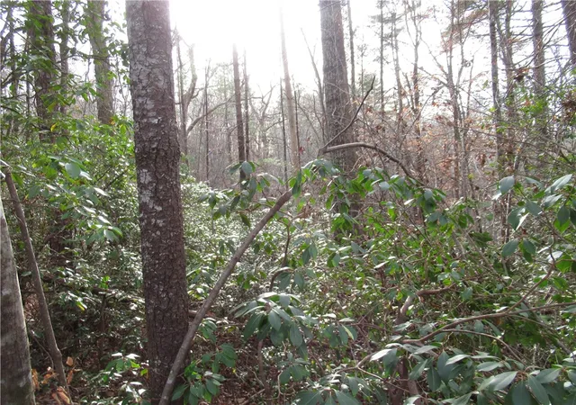 Photo 3 of Land for sale at 213 Falcon Crest Way, Pickens, SC 29671 | MLS# 20281985 | Listing updated on 2026-10-12