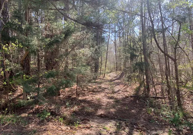 Photo 3 of Land for sale at 0 Dogwood Ln, Abbeville, SC 29620 | MLS# 20282829 | Listing updated on 2026-07-21