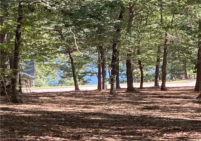 Residential Lot at 335 Long Cvs Trl, Salem, SC 29676 | MLS# 20283338 | | Sold on 2025-12-30