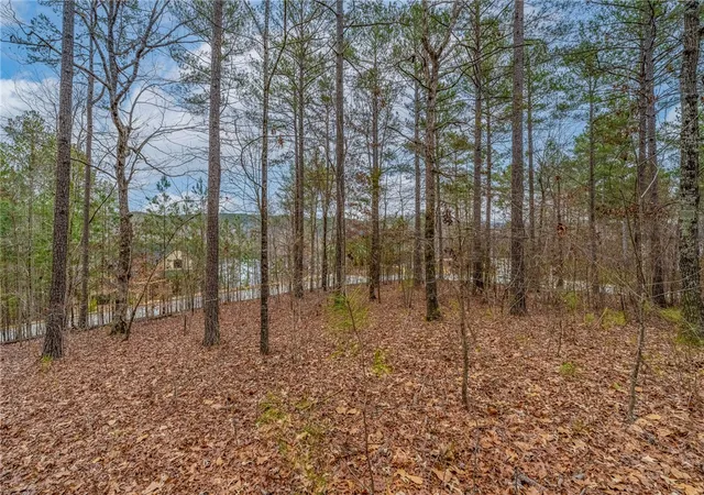 Photo 1 of Residential Lot at 335 Long Cvs Trl, Salem, SC 29676 | MLS# 20283338 | | Sold on 2025-12-30