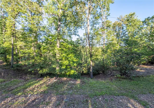 Homes for sale in Sunset, SC | Lot 21 Old Shallowford Bridge Rd, Sunset, SC 29685 | MLS# 20288154