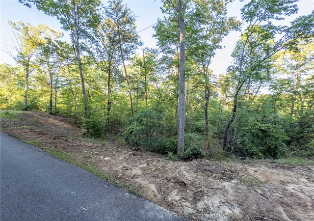 Homes for sale in Sunset, SC | Lot 23 Old Shallowford Bridge Rd, Sunset, SC 29685 | MLS# 20288158