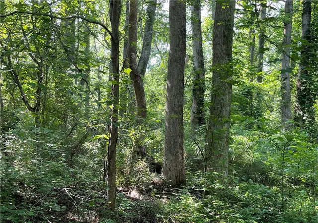 Homes for sale in Honea Path, SC | 00 Clatworthy Rd, Honea Path, SC 29654 | MLS# 20288370