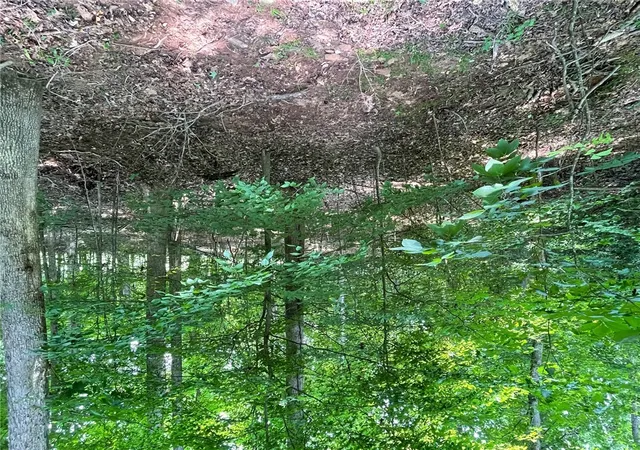 Photo 1 of Residential Lot at Lot S 784 Hogan Dr, Westminster, SC 29693 | MLS# 20288598 | | Sold on 2025-08-08