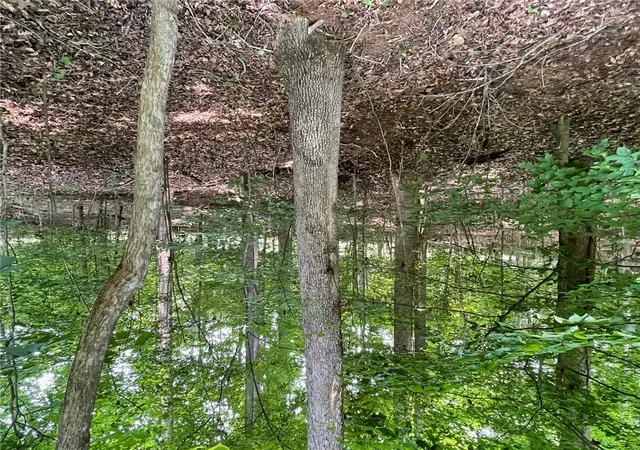 Photo 2 of Residential Lot at Lot S 784 Hogan Dr, Westminster, SC 29693 | MLS# 20288598 | | Sold on 2025-08-08