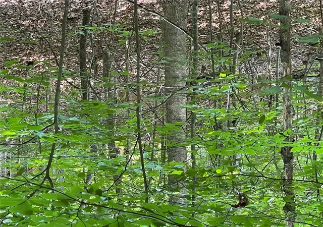 Photo 3 of Residential Lot at Lot S 784 Hogan Dr, Westminster, SC 29693 | MLS# 20288598 | | Sold on 2025-08-08