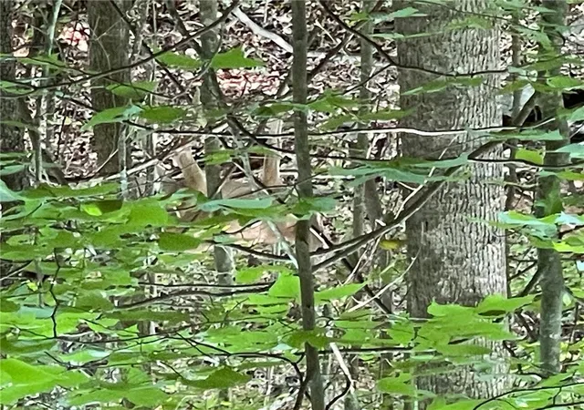 Photo 4 of Residential Lot at Lot S 784 Hogan Dr, Westminster, SC 29693 | MLS# 20288598 | | Sold on 2025-08-08
