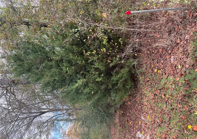 2nd image of 700 Keowee Trl, Seneca, SC 29672 | MLS# 20289628