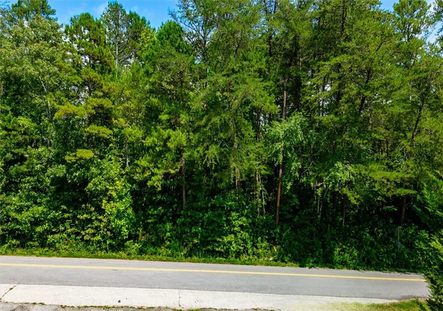 Photo 2 of Land for sale at 419 Stewart Rd, Six Mile, SC 29682 | MLS# 20291121 | Listing updated on 2026-07-30
