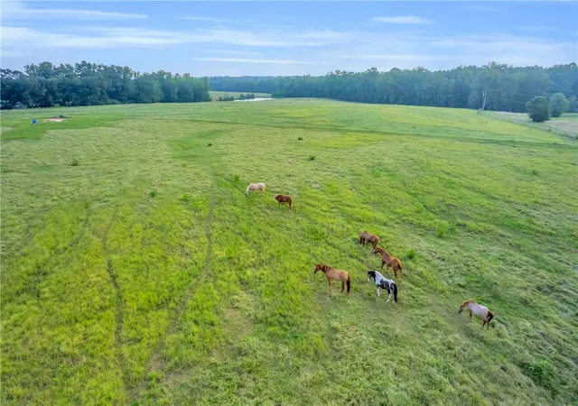 Photo 1 of Land for sale at 00 Docheno Rd, Belton, SC 29627 | MLS# 20290945 | Listing updated on 2026-07-27