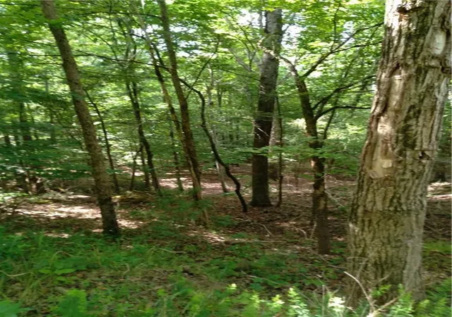 Photo 3 of Land for sale at 00 Dockside Dr, Iva, SC 29655 | MLS# 20291562 | Listing updated on 2026-07-10