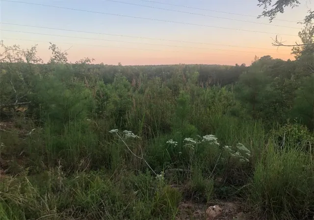 Photo 3 of Land for sale at 0000 Lake Secession Rd, Abbeville, SC 29620 | MLS# 20292129 | Listing updated on 2026-08-28